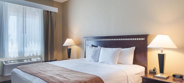 海滨舒适套房酒店(Comfort Suites Beachside)图片