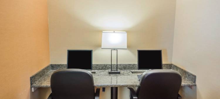 纽约州游乐场舒适酒店(Comfort Inn - Nys Fairgrounds)图片