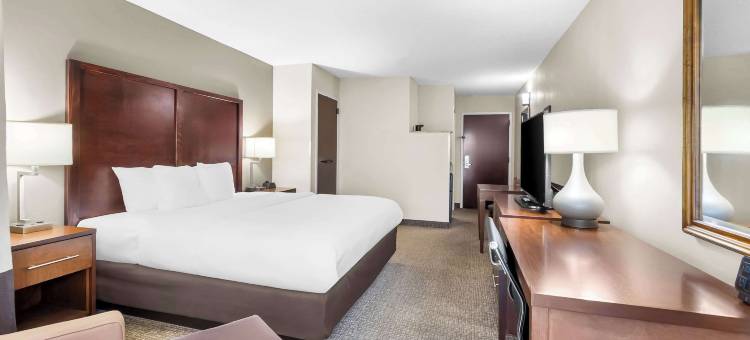 舒适套房酒店(Comfort Suites)图片