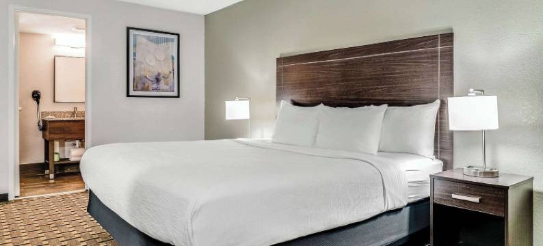 底特律市中心凯艺酒店(Quality Inn Detroit Downtown)图片