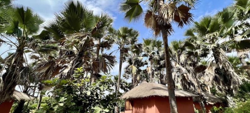 内马苏生态旅馆(Nemasu Eco-Lodge)图片