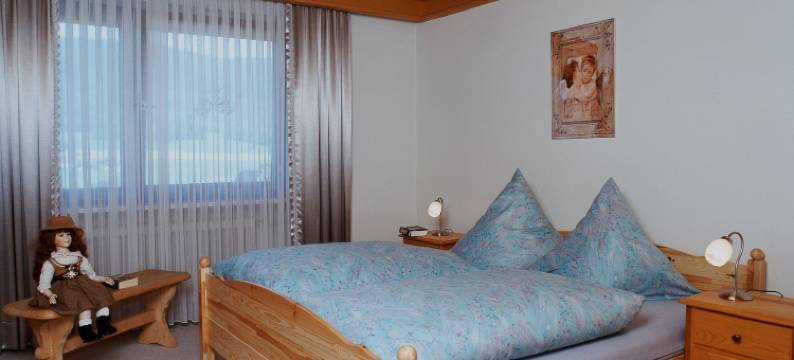 路德维希公寓旅馆(Pension / Ferienwohnungen Ludwig)图片