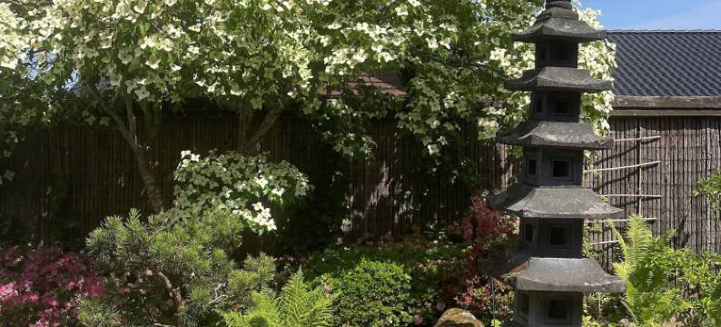丹日式花园(Den Japanske Have B & B)图片
