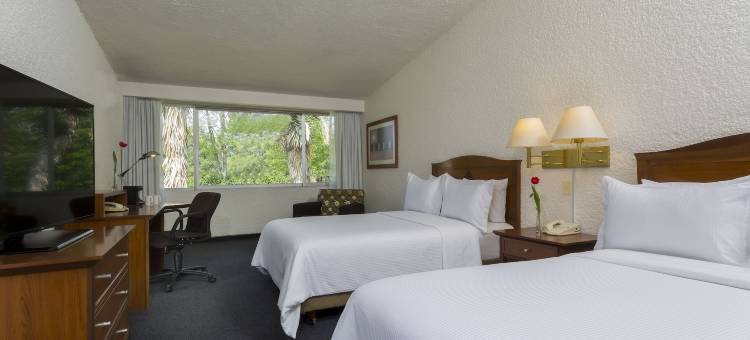 帕丘卡伽玛酒店(Gamma Pachuca)图片