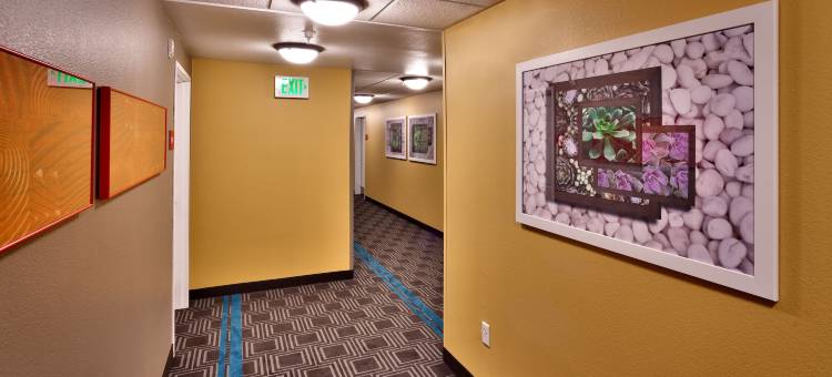 谢拉维斯塔万豪TownePlace Suites酒店(TownePlace Suites by Marriott Sierra Vista)图片