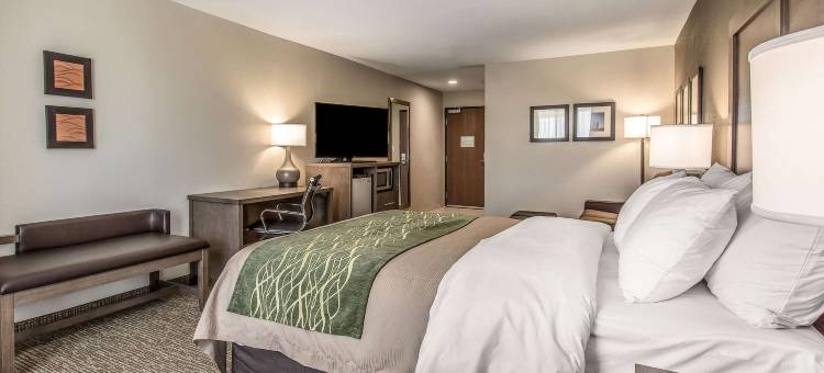 舒适套房酒店(Comfort Inn & Suites Snyder)图片