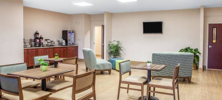 舒适酒店-莱星顿南(Comfort Inn Lexington South)图片