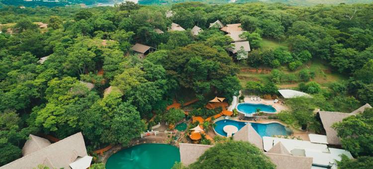 树屋酒店和度假村(TreeCasa Hotel & Resort Nicaragua)图片