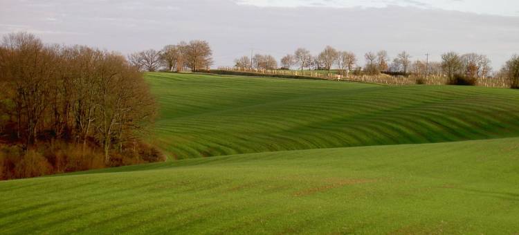 木偶磨坊酒店(Le Moulin des Marionnettes)图片