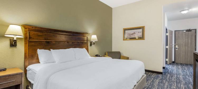 拉什莫尔山舒适套房酒店(Comfort Inn & Suites Mt Rushmore)图片