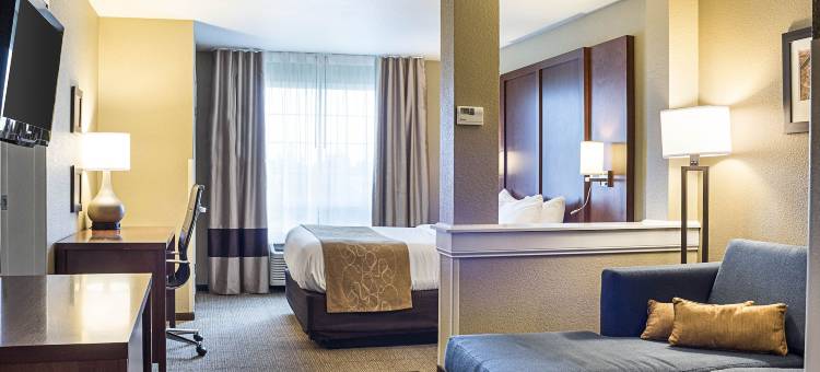 迈诺特舒适套房酒店(Comfort Suites)图片