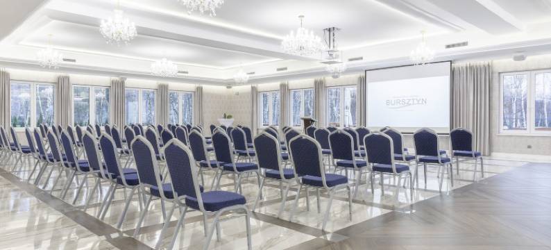 布林斯兹泰恩水疗休养酒店(Bursztyn Medical Spa & Wellness)图片