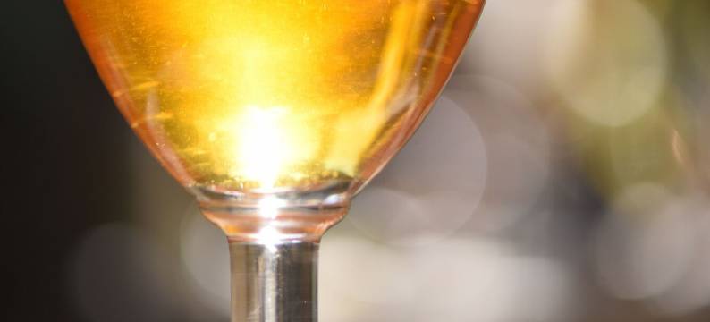 卡伦达尔水疗中心酒店(Hotel Spa le Calendal)图片