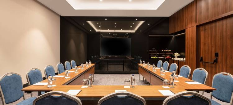 萨卡里亚丽笙蓝标酒店(Radisson Blu Hotel, Sakarya)图片