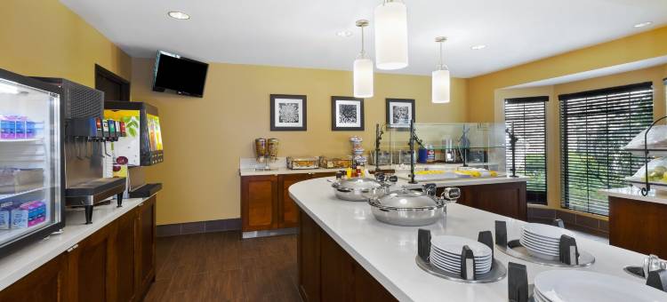 Staybridge Suites 底特律的乌蒂卡by IHG(Staybridge Suites Detroit-Utica)图片