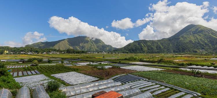 Teras稻田宾馆Syariah(Teras Sawah Guest House Syariah)图片