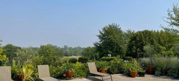 高级时装花园(Jardins Haute Couture)图片