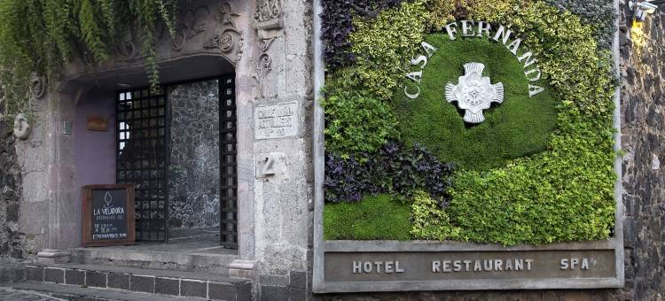 费尔南达之家精品酒店(Hotel Boutique Casa Fernanda)图片