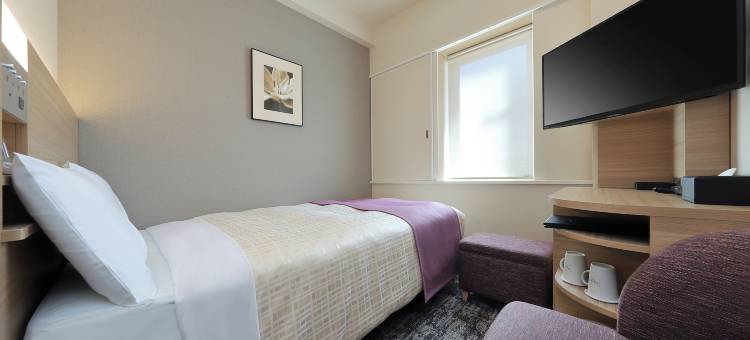 九段下东京布莱索酒店(Keio Presso Inn Tokyo Kudanshita)图片