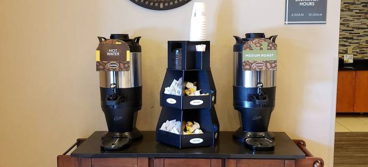 库恩拉匹兹蔚景温德姆酒店(Wingate by Wyndham Coon Rapids)图片