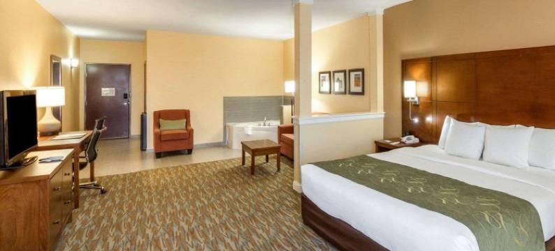 科图拉I-35附近舒适套房酒店(Comfort Suites Cotulla Near I-35)图片