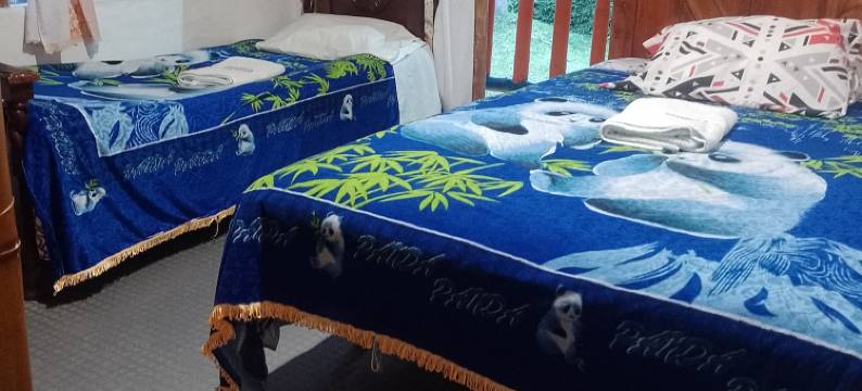 埃尔巴姆旅馆(Hostal El Bambú)图片