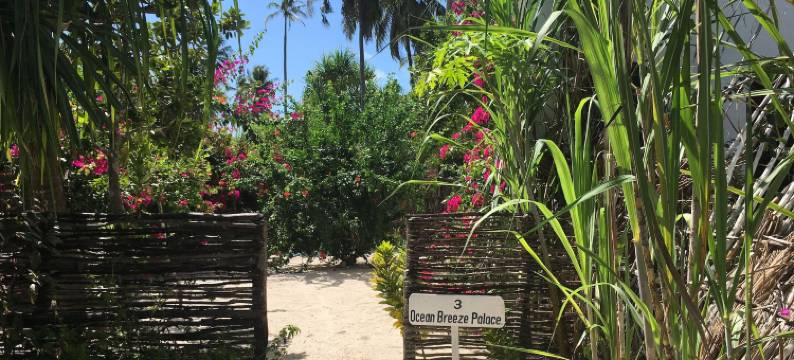 米查姆维海滩的拉古纳宫(Laguna Palace Michamvi Kae)图片