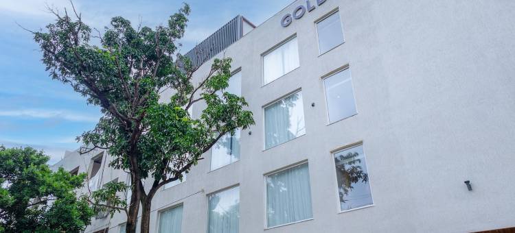 金色郁金香波泰尔(Golden Tulip Bhopal)图片