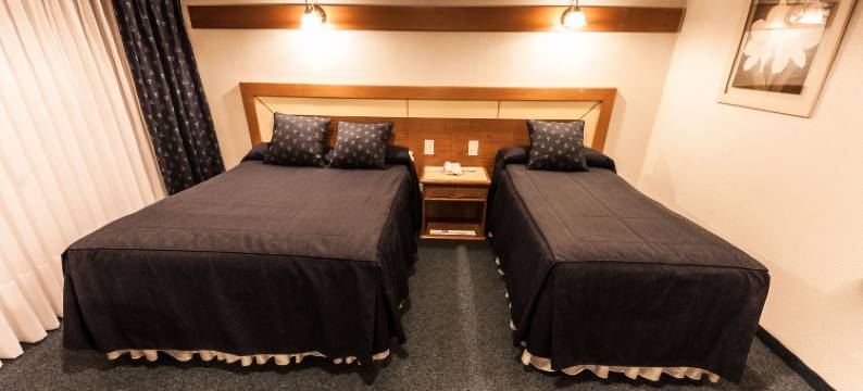 解放者酒店(Hotel Libertador)图片