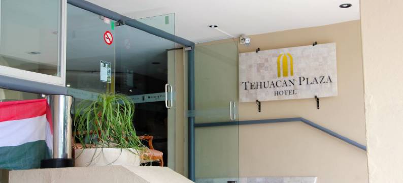 特瓦坎广场酒店(Hotel Tehuacan Plaza)图片