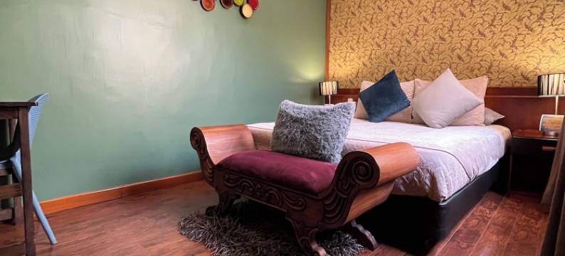 昆卡佩佩之家酒店&青年旅舍(Pepe's House Cuenca I Hotel & Boutique Hostel)图片