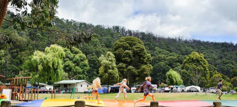 比格佛怀河假日公园露营地(Big4 Wye River Holiday Park)图片