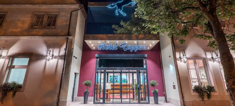 陶伯河上的罗腾堡拉彭酒店(Hotel Rappen Rothenburg ob der Tauber)图片