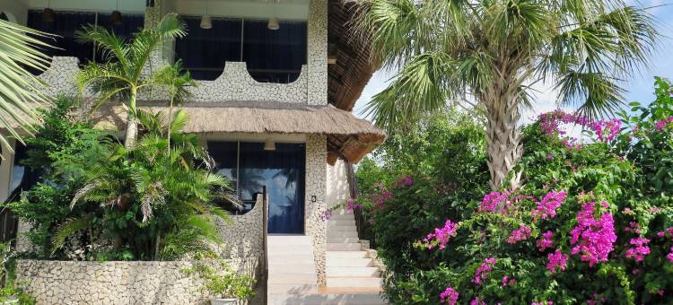 野兰花度假村(The Wild Orchid Resort - Moalboal)图片