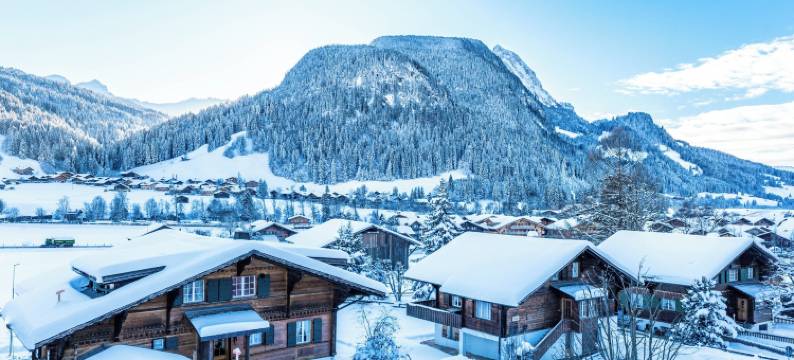 斯皮霍尔恩超级酒店(Hotel Spitzhorn Superieur)图片