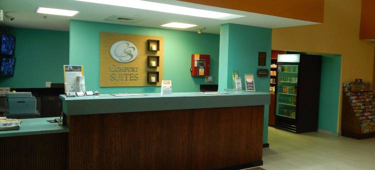 舒适套房酒店-坦帕布兰登(Comfort Suites Tampa - Brandon)图片