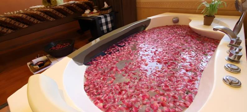 玛琅丽晶花园酒店(Regent's Park Hotel at Kayutangan Malang)图片