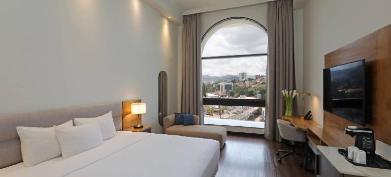 凯隆酒店-雷尔特古西加尔(Clarion Hotel Real Tegucigalpa)图片