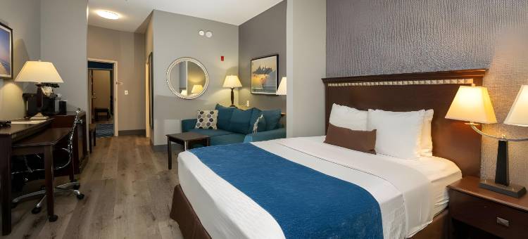 西布鲁克- 克马赫舒适套房酒店(Comfort Suites Seabrook - Kemah)图片