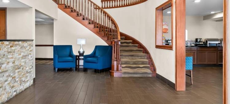 舒适套房酒店(Comfort Inn & Suites)图片