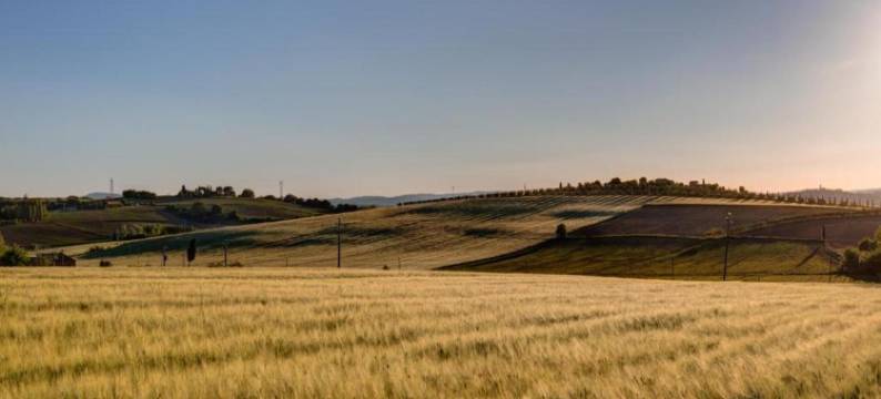 Rustic Charm, Modern Comfort图片