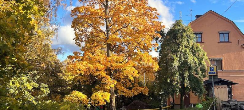 阿卡德米酒店(Akademihotellet)图片