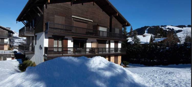 Modern 2 bedroom apartment, close to ski lifts图片
