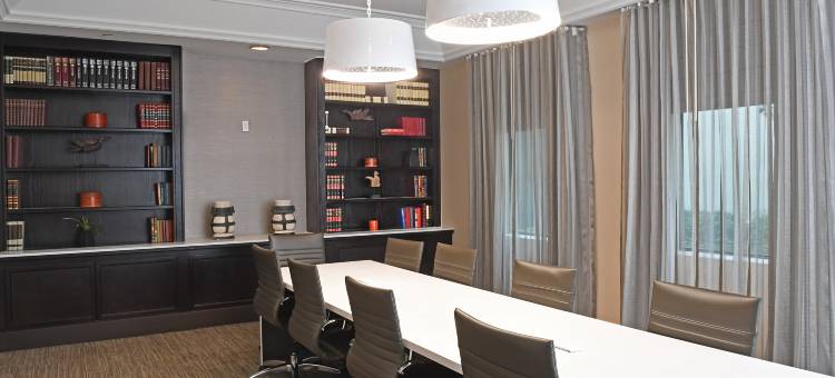 洲际酒店集团欧文拉斯科利纳斯假日酒店(Holiday Inn Irving - Las Colinas)图片