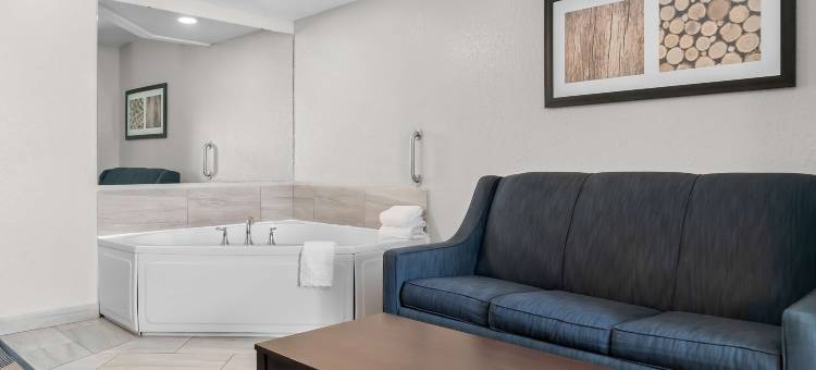 弗林特机场贝斯特韦斯特优质酒店及套房(Best Western Plus Flint Airport Inn  Suites)图片