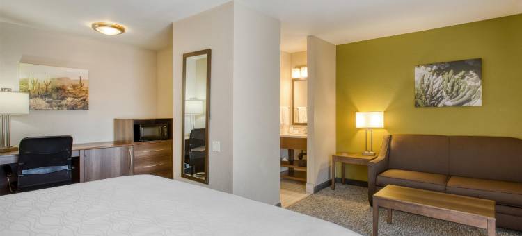 北凤凰城贝斯特韦斯特酒店(Best Western North Phoenix Hotel)图片