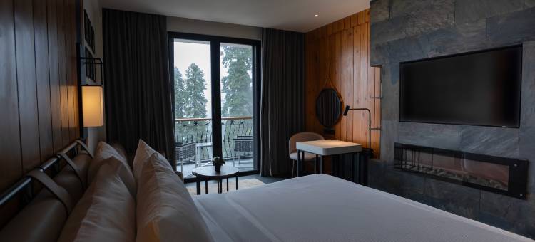 希尔顿逸林酒店纳蒂亚加里(DoubleTree by Hilton Nathiagali)图片