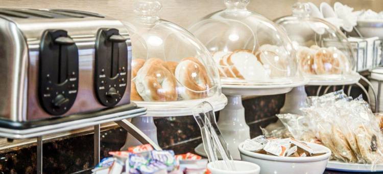 伦巴德阿狄森舒适套房酒店(Comfort Suites Lombard/Addison)图片