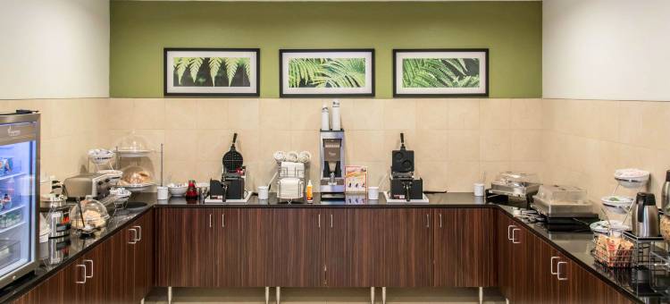 舒眠旅馆及套房马歇尔 - 大学区(Sleep Inn & Suites Marshall - University Area)图片