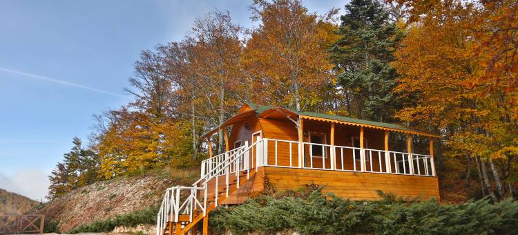 绿色公园卡尔特普度假村(The Green Park Kartepe)图片